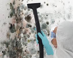 Best Mold Removal for HVAC Installations  in Bangs, TX